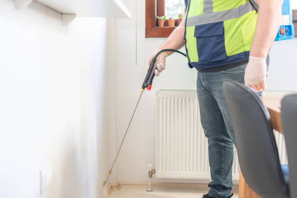 Best Pest Inspection Near Me  in Holtsville, NY