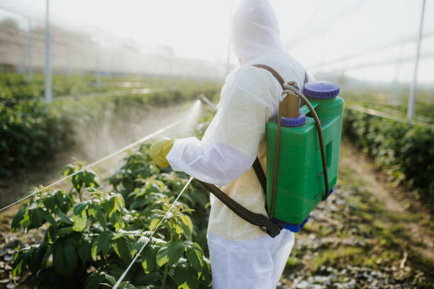 Best Mosquito Control Services  in Holtsville, NY